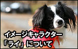 ���᡼������饯�����֥饤�פˤĤ��ơ��������ʥ�
