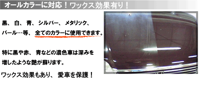 マイエターナル塗面光沢復元剤 オールカラー対応 傷消し 車の傷消し