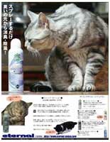 �ޥ��������ʥ롡����Ǻܵ���